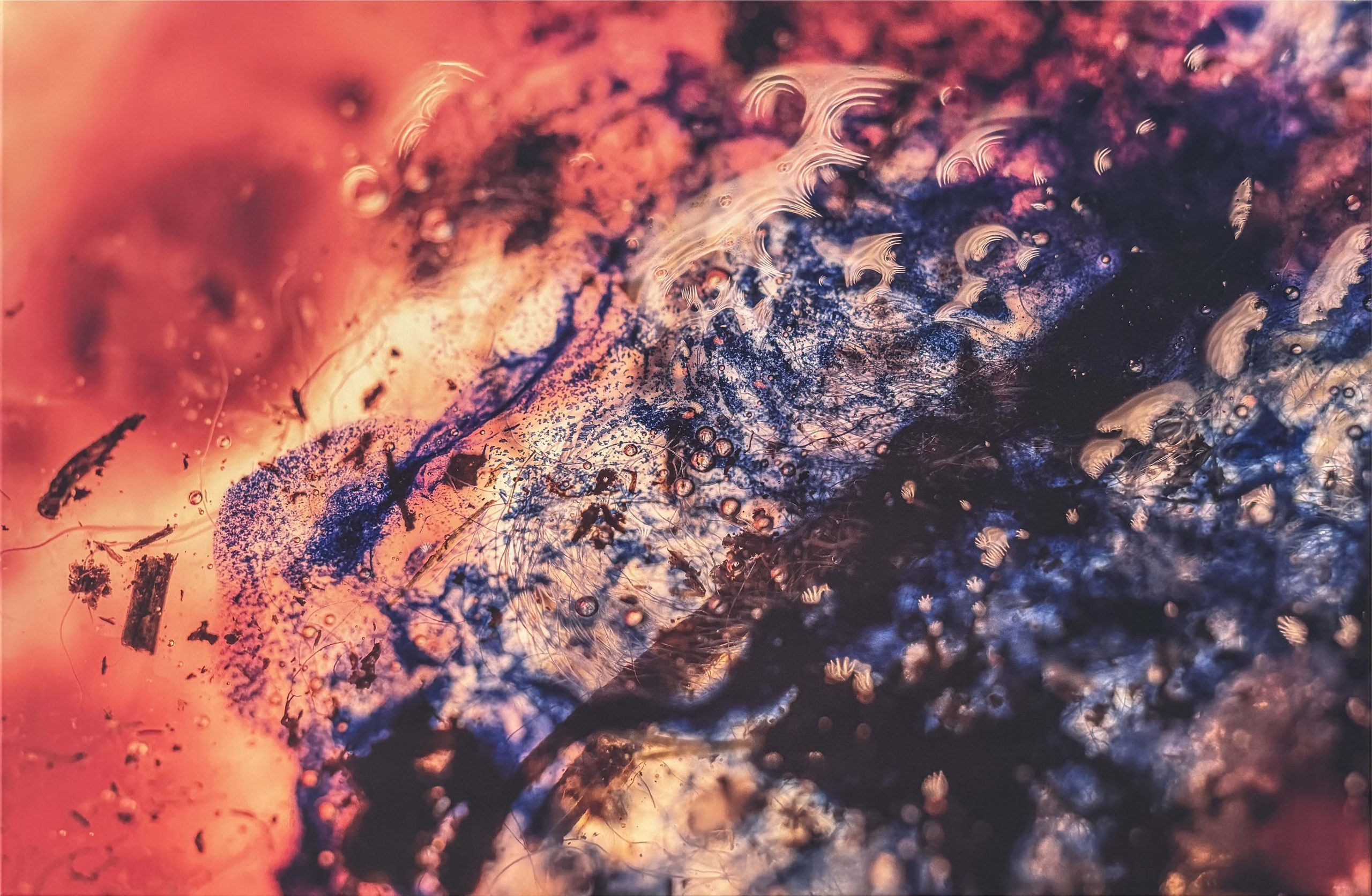 Gold Rush, Photography, 120 x 80 cm, 2021