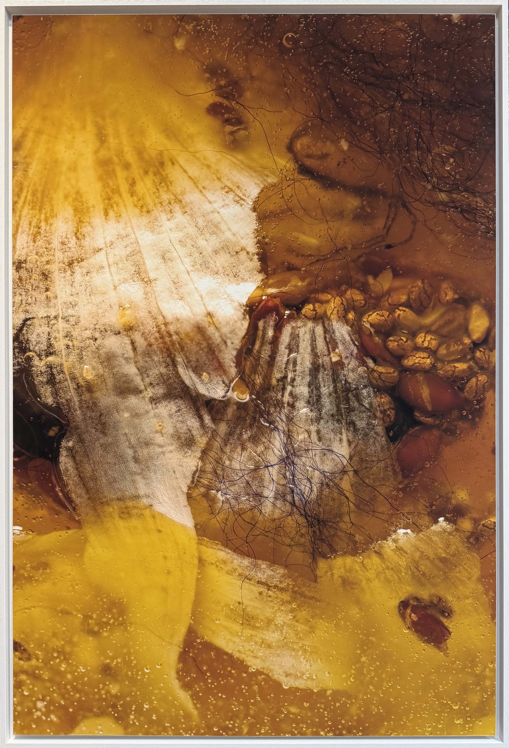 Maldhea , Photography, 80 x 120 cm, 2025