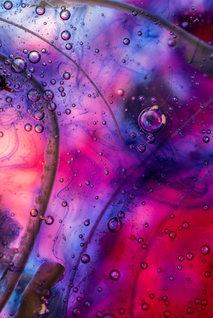Rise, Photography, 80 x 120 cm, 2021