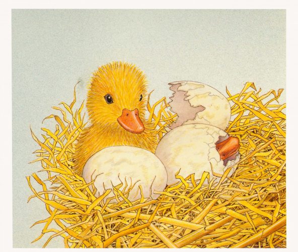 Ente Vorspann, print of pencil paintings, 40,0 × 37,9 cm, 2026