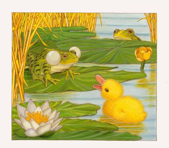 Ente trifft Frosch, print of pencil paintings, 30,0 × 26,5 cm, 2026