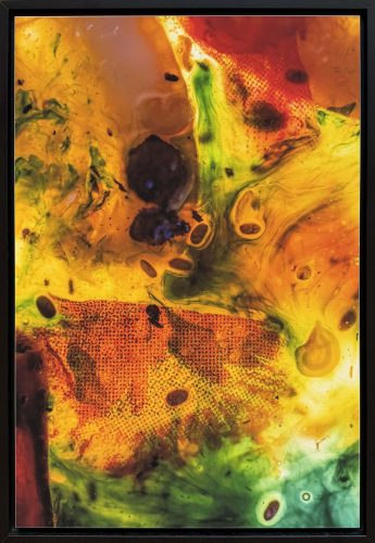 Levandora, Photography, 50 x 75 cm, 2025
