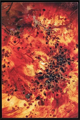 Particle Espresso, Photography, 80 x 120 cm, 2025
