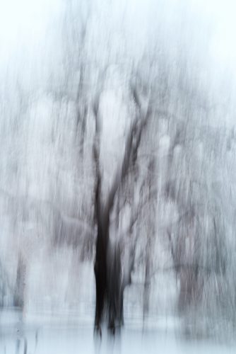 ©Cornelia Bienz - Winter I - III - print on canvas - 60 x 90 cm - 2023